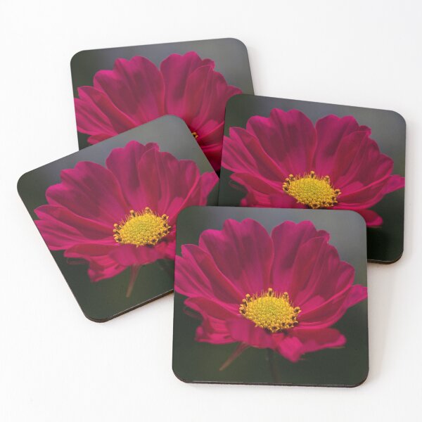 Item preview, Pink Cosmos Yellow Centre. designed and sold by John Ray.