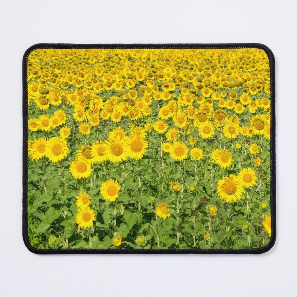 Item preview, Happy Summery Sunflower Farm Field designed and sold by Georgia Mizuleva.