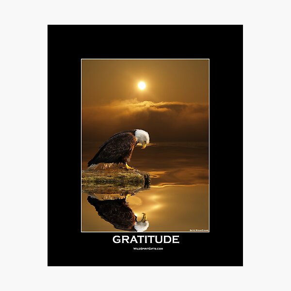 "Gratitude" Bald Eagle Photographic Print