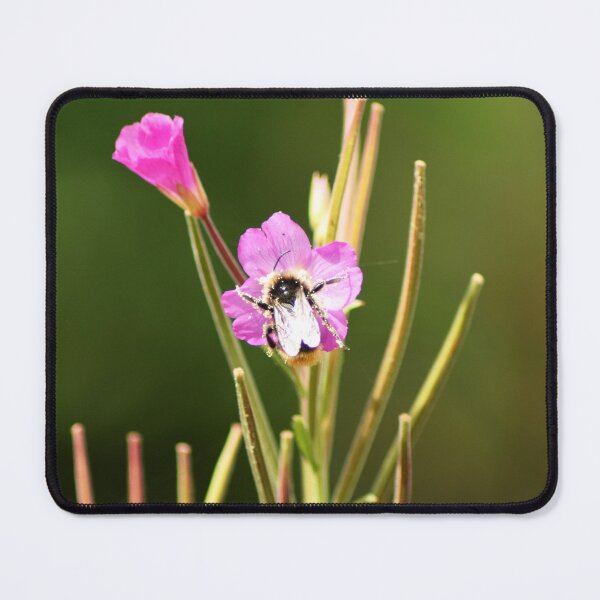 Item preview, The Bee designed and sold by EJRamblingRose.