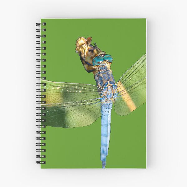 Item preview, Blue bodied Dragonfly designed and sold by Dalyndigital Photography.