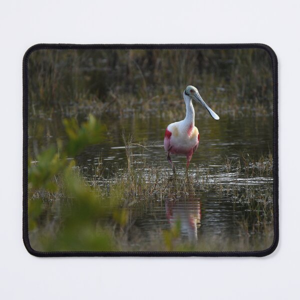 Item preview, Rosette Spoonbill - Blue Heron designed and sold by rmcgowan-studio.