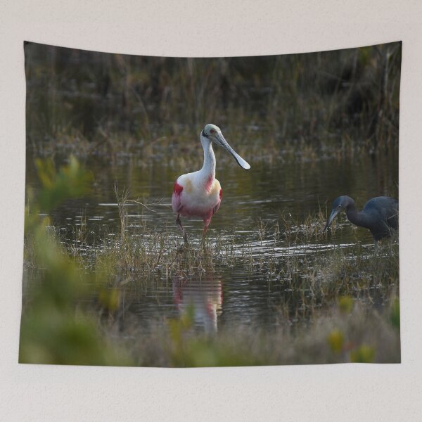 Item preview, Rosette Spoonbill - Blue Heron designed and sold by rmcgowan-studio.
