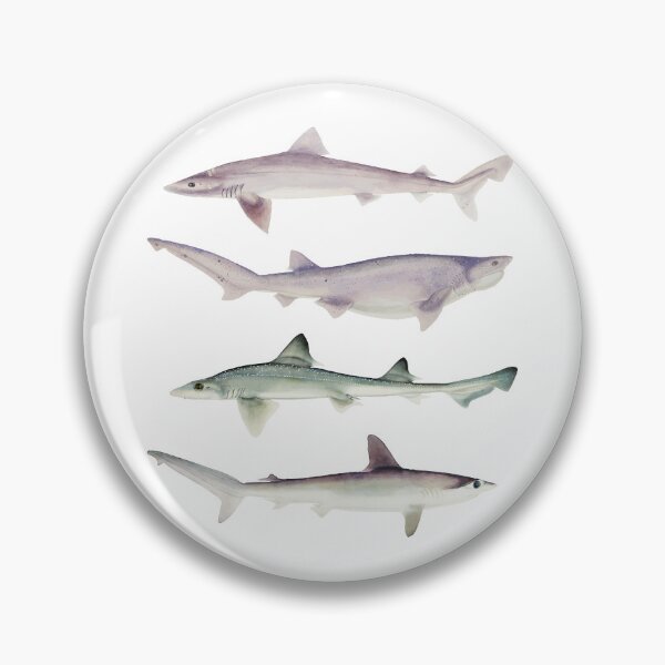 Item preview, Shiver of Sharks designed and sold by chillaxcats.