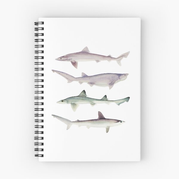 Item preview, Shiver of Sharks designed and sold by chillaxcats.