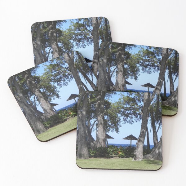 Item preview, Hidden Beach designed and sold by PanoramicNFT.