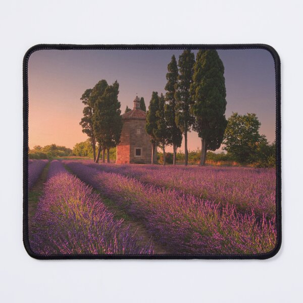 Item preview, Lavender field and Oratorio di San Guido church. Bolgheri, Tuscany, Italy designed and sold by Stefano Orazzini.