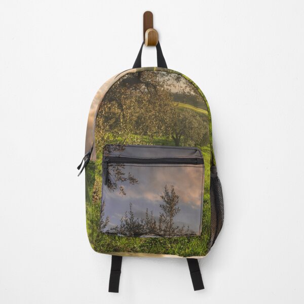Item preview, Olive grove in Alta Maremma. Tuscany, Italy designed and sold by Stefano Orazzini.