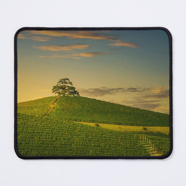 Item preview, Langhe vineyards and cedar of Lebanon tree. La Morra. Italy designed and sold by Stefano Orazzini.