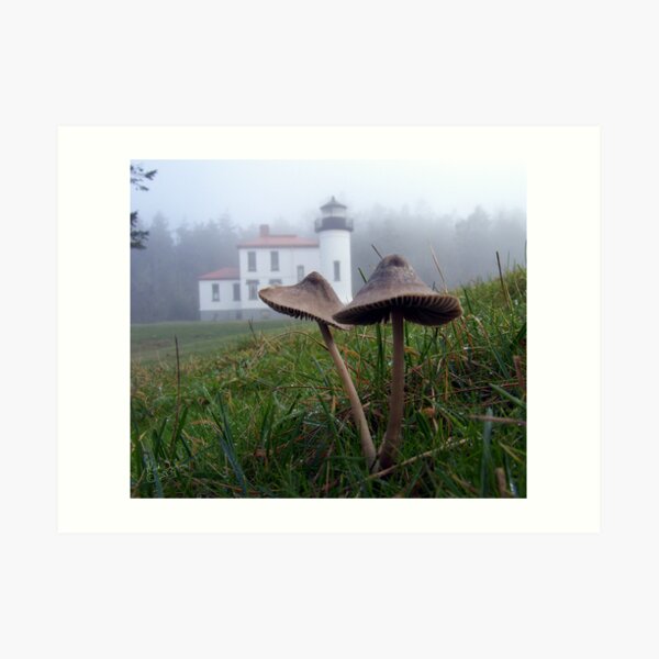Mushrooms and Lighthouse Seven Art Print