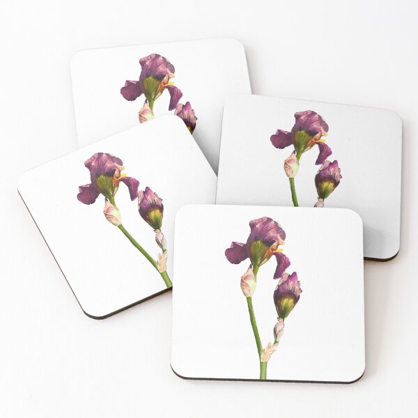 Item preview, iris designed and sold by Constelarium.