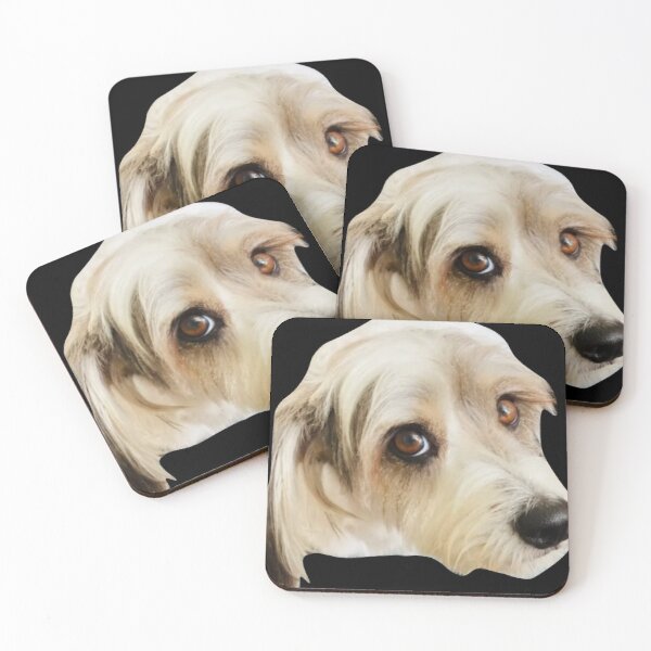 Item preview, small dog with cute look looking at the camera designed and sold by Memories-in-Pet.