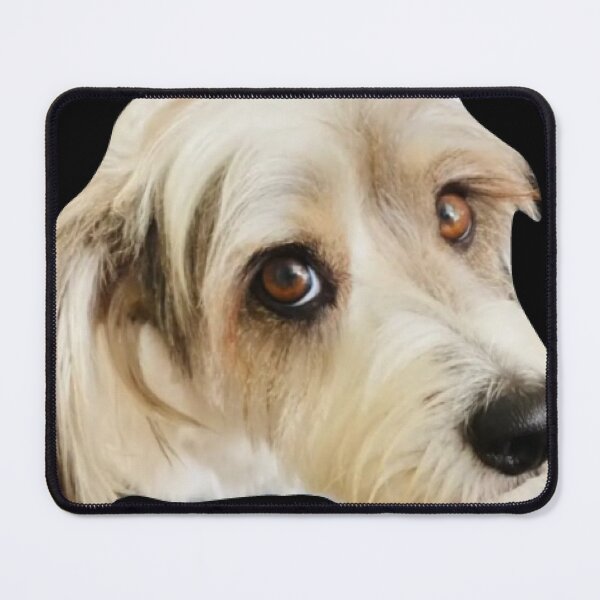 Item preview, small dog with cute look looking at the camera designed and sold by Memories-in-Pet.