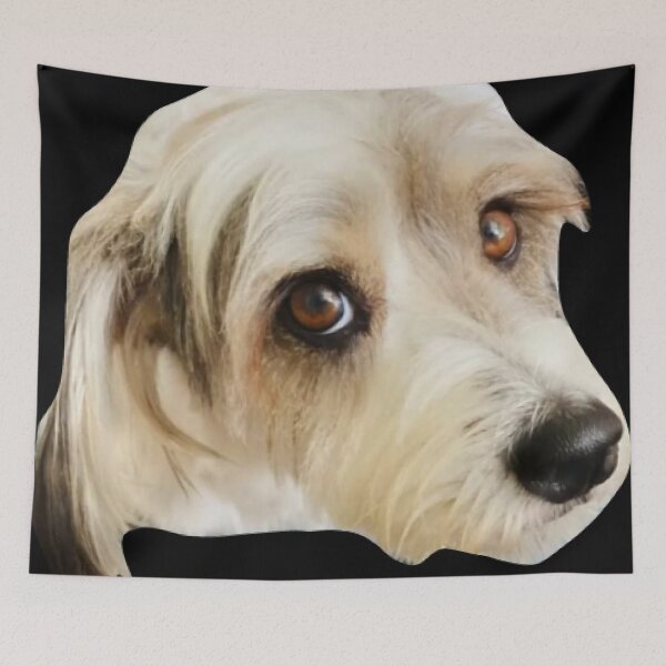 Item preview, small dog with cute look looking at the camera designed and sold by Memories-in-Pet.