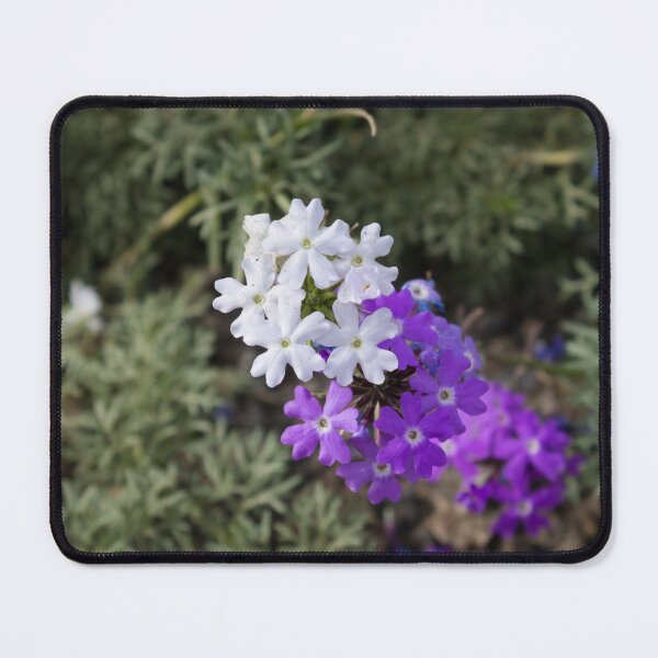 Item preview, Little purple and white wild flowers designed and sold by ArtyBuys.