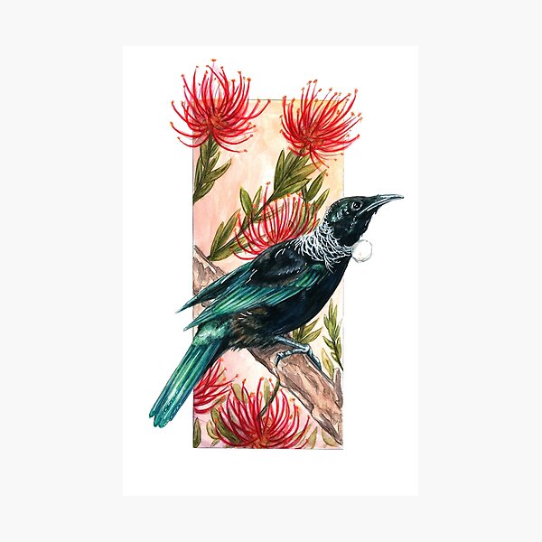 Item preview, New Zealand Tui in Pohutukawa designed and sold by primalarc.