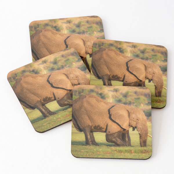 Item preview, Elephant Digging in the Mud Botswana Africa designed and sold by PhotoArt by Joan Carroll.
