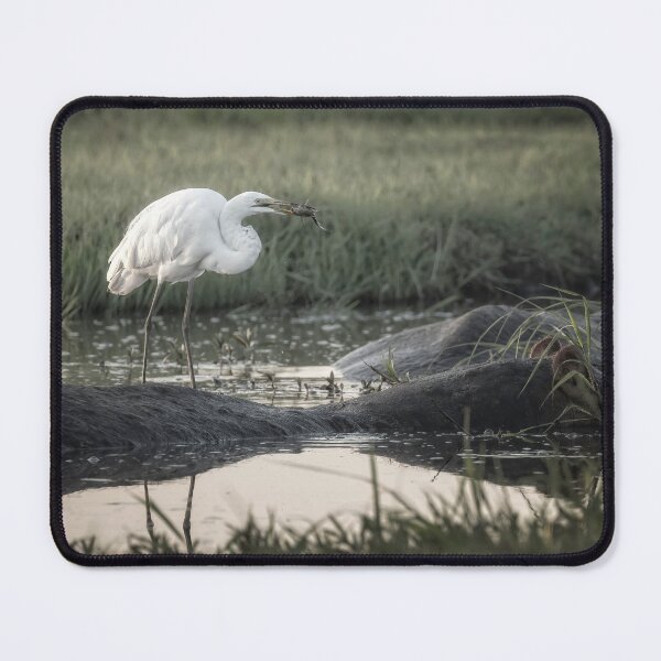 Item preview, Egret Fishing from a Hippo Botswana Africa designed and sold by PhotoArt by Joan Carroll.