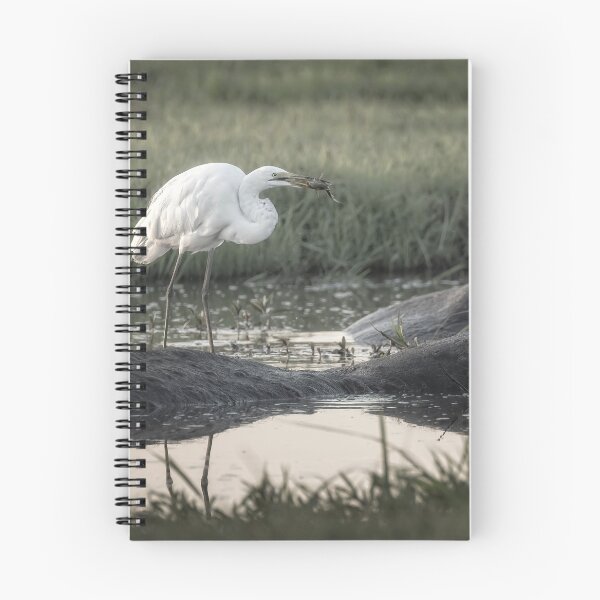 Item preview, Egret Fishing from a Hippo Botswana Africa designed and sold by PhotoArt by Joan Carroll.