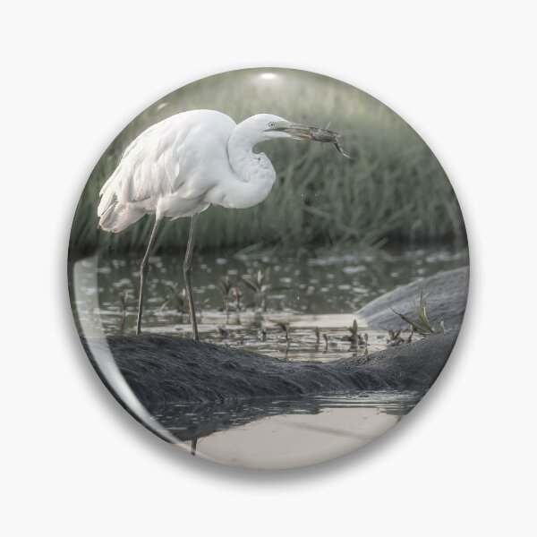 Item preview, Egret Fishing from a Hippo Botswana Africa designed and sold by PhotoArt by Joan Carroll.
