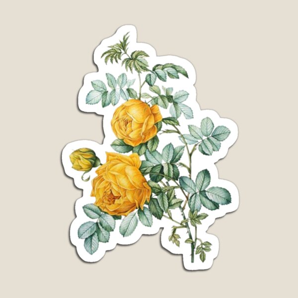 Item preview, Yellow rose designed and sold by flowers7s.