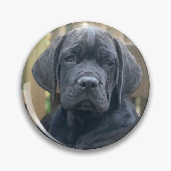 Item preview, Neo Bullmastiff Puppy Relaxing designed and sold by Colorcollage.
