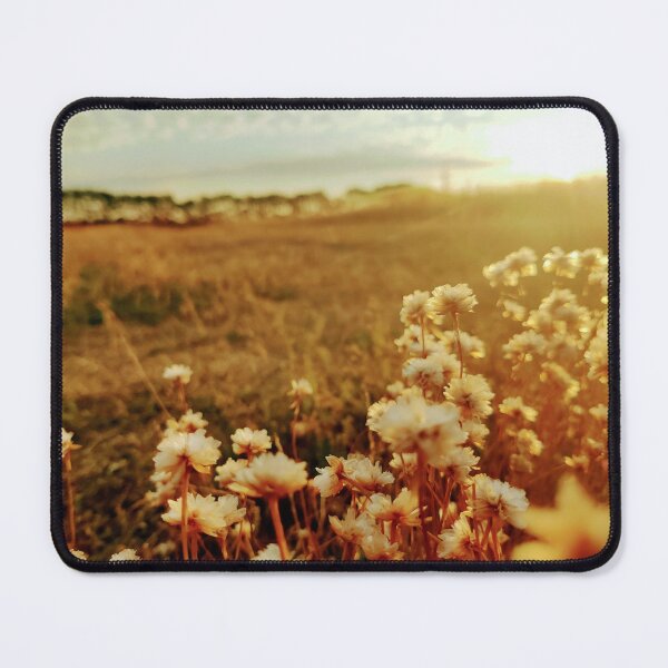 Item preview, Foreground flowers at sunset designed and sold by LocalOddball.