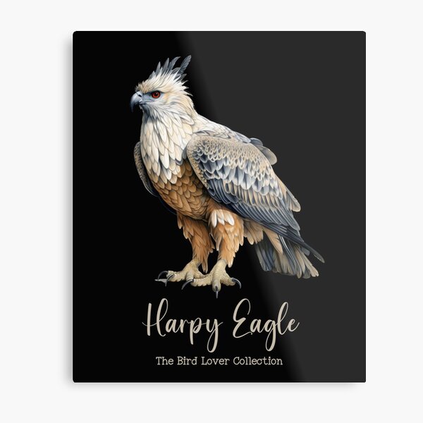 Harpy Eagle' Poster, picture, metal print, paint by Wolf Design Studios
