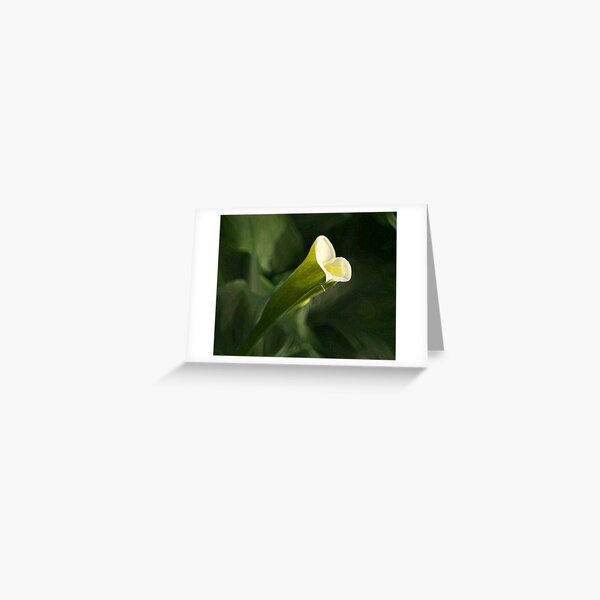 Calla Greeting Card