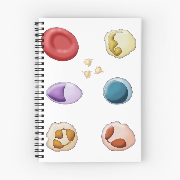 Item preview, Red Blood Cell and Types of White Blood Cells or Leukocytes designed and sold by ScienceSource.
