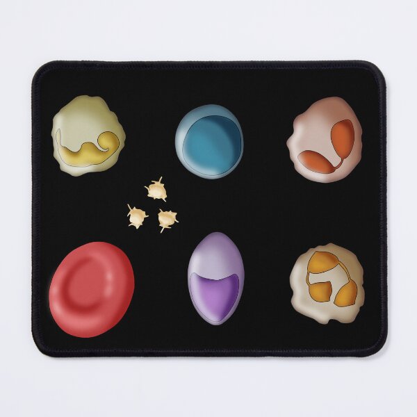 Item preview, Red Blood Cell and Types of White Blood Cells or Leukocytes designed and sold by ScienceSource.