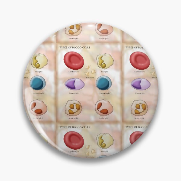 Item preview, Red Blood Cell and Types of White Blood Cells or Leukocytes designed and sold by ScienceSource.