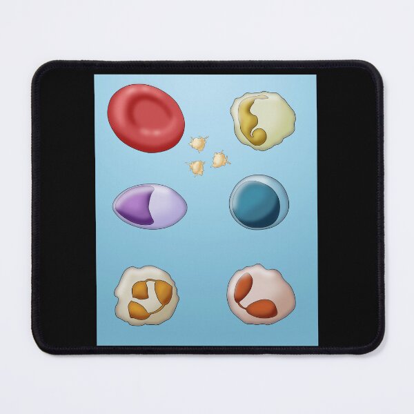 Item preview, Red Blood Cell and Types of White Blood Cells or Leukocytes  designed and sold by ScienceSource.