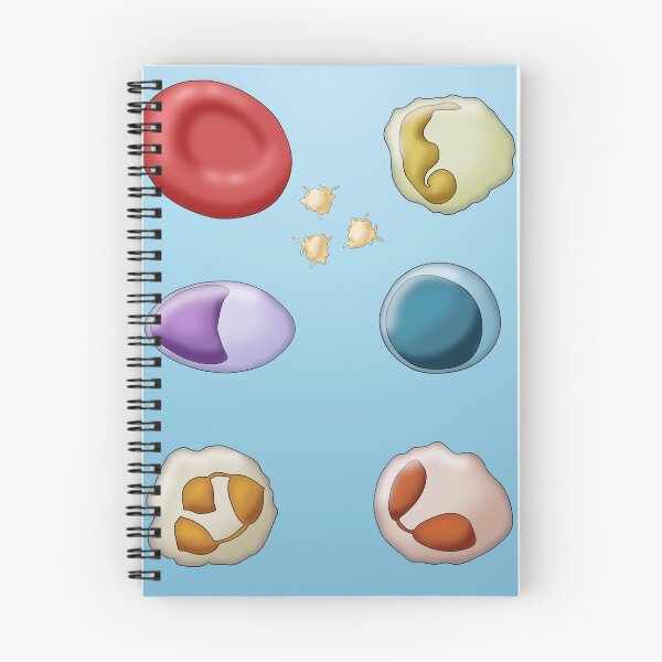 Item preview, Red Blood Cell and Types of White Blood Cells or Leukocytes  designed and sold by ScienceSource.