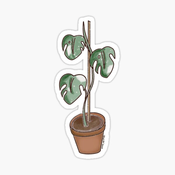 Vista previa del artículo con la obra «monstera albo», diseñado y vendido por Riley Cioffi-Smith.