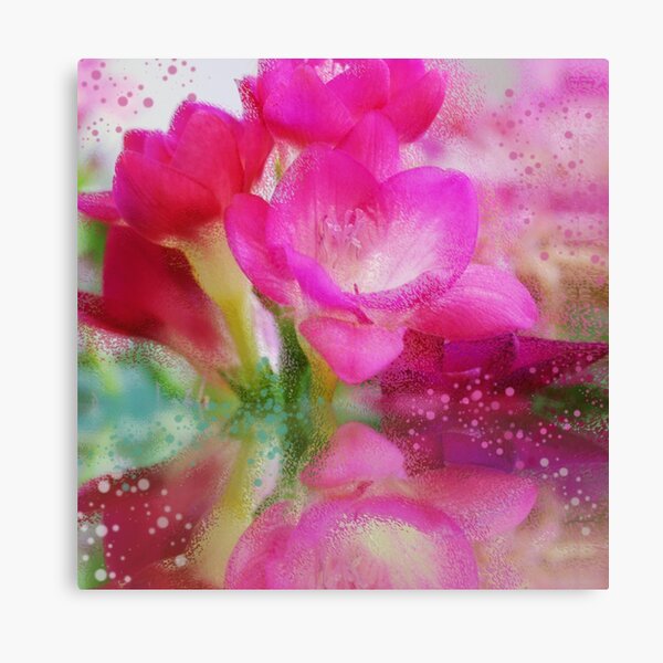 Hot pink Freesia flowers Canvas Print
