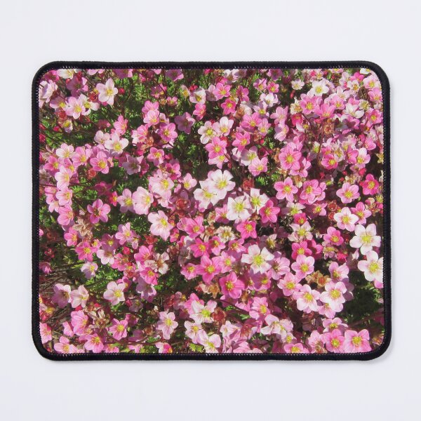 Item preview, Pink Saxifrage Flowers designed and sold by lezvee.
