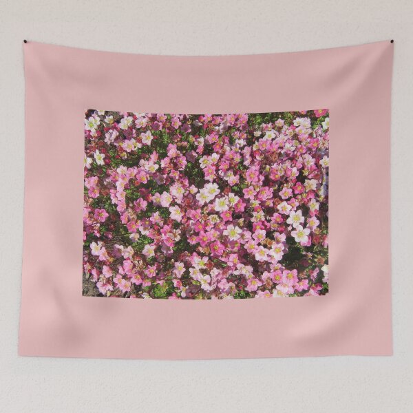 Item preview, Pink Saxifrage Flowers designed and sold by lezvee.
