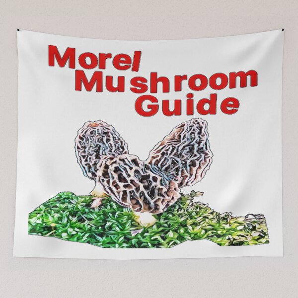 Item preview, Morel Mushroom Guide designed and sold by natnat7w.