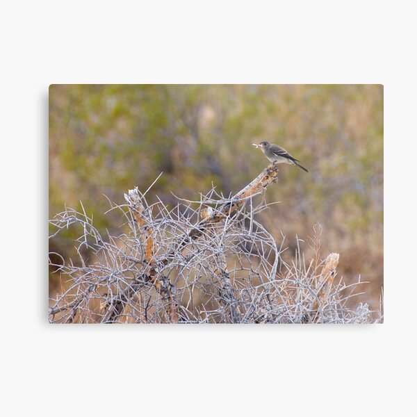 Precarious Perch Metal Print