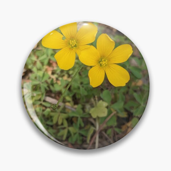 Item preview, Creeping Woodsorrel designed and sold by TheRealDanniX.