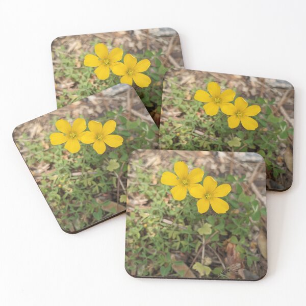 Item preview, Creeping Woodsorrel designed and sold by TheRealDanniX.