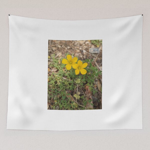 Item preview, Creeping Woodsorrel designed and sold by TheRealDanniX.