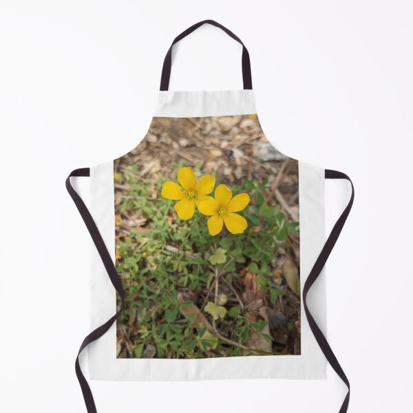 Item preview, Creeping Woodsorrel designed and sold by TheRealDanniX.