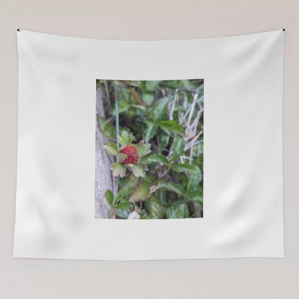 Item preview, Wild Berry designed and sold by TheRealDanniX.