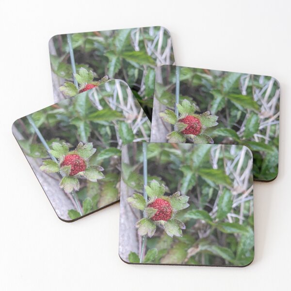 Item preview, Wild Berry designed and sold by TheRealDanniX.
