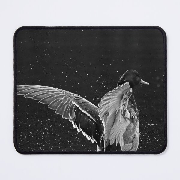 Item preview, Drake Mallard Black And White designed and sold by Deb Oppermann.