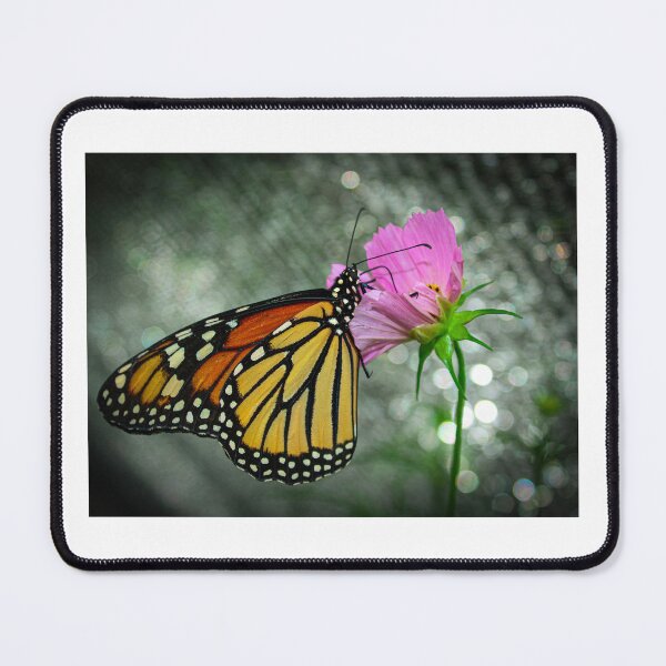 Item preview, Photograph of a Monarch Butterfly on a Pink Flower designed and sold by FirebrandFoxx.