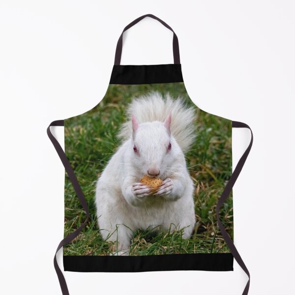 Item preview, Albino Squirrel on the National Mall in Washington, DC designed and sold by Zoo and Nature Photography by Karie.