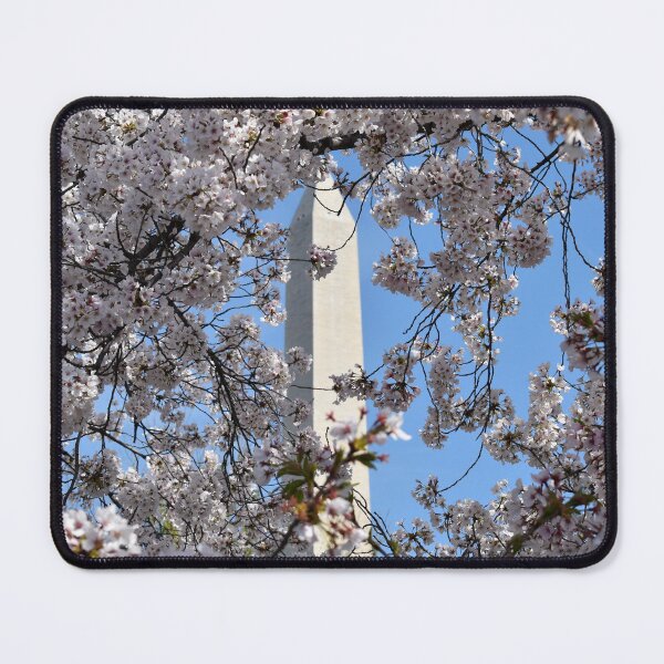 Item preview, Cherry Blossoms on the National Mall in Washington, DC designed and sold by Zoo and Nature Photography by Karie.